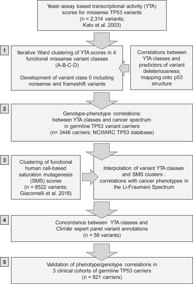 Figure 1