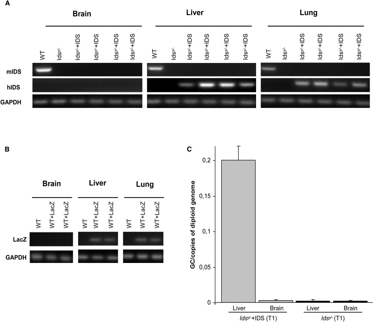 Figure 2