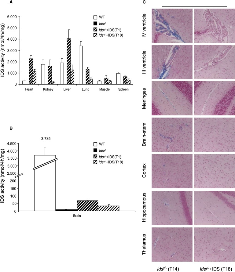 Figure 1