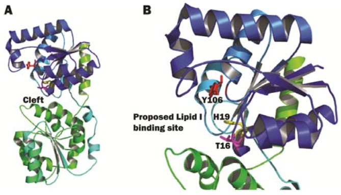 Figure 9