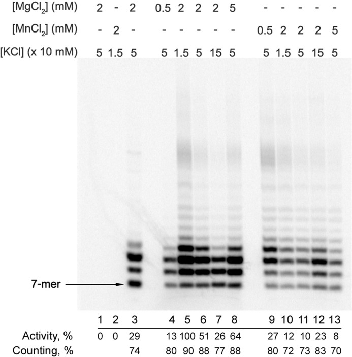 FIGURE 7.