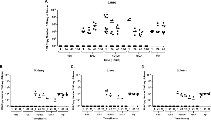 FIG 3 