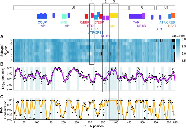 FIG. 2.