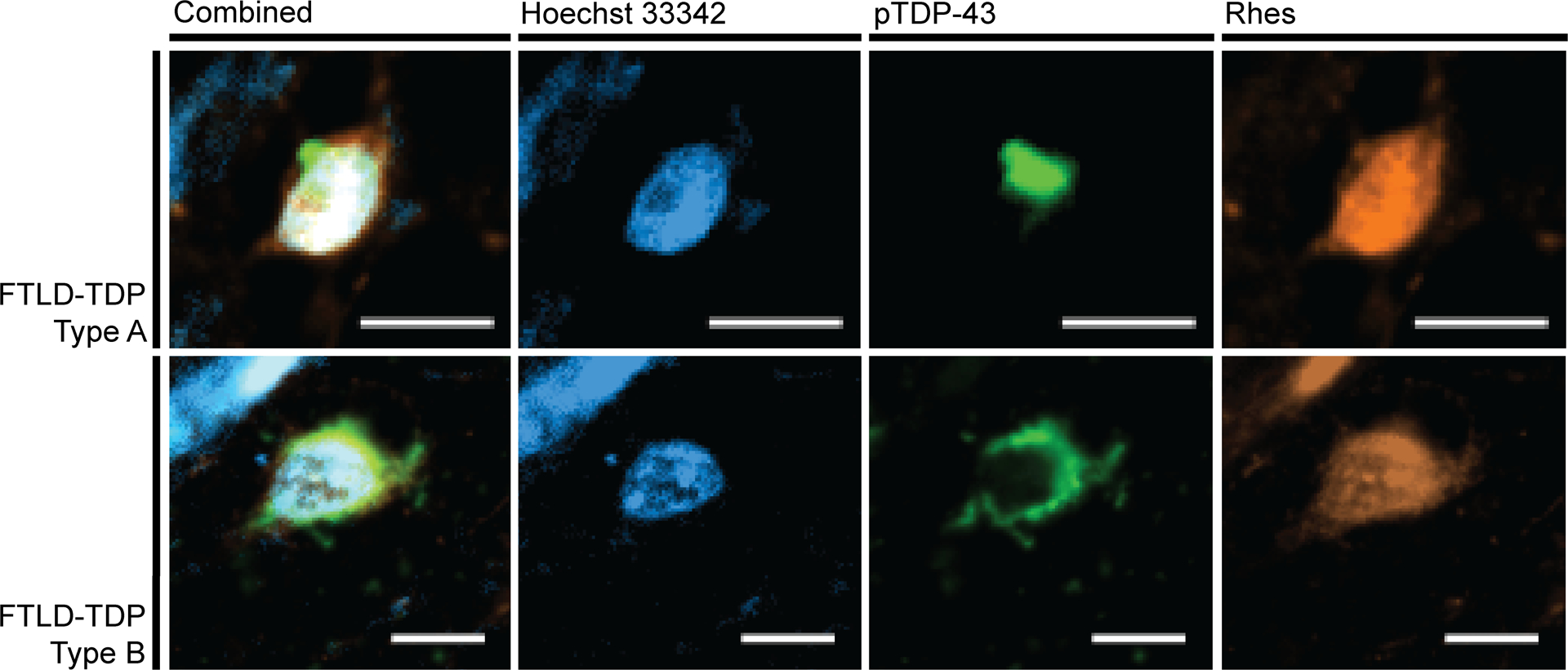 Figure 6: