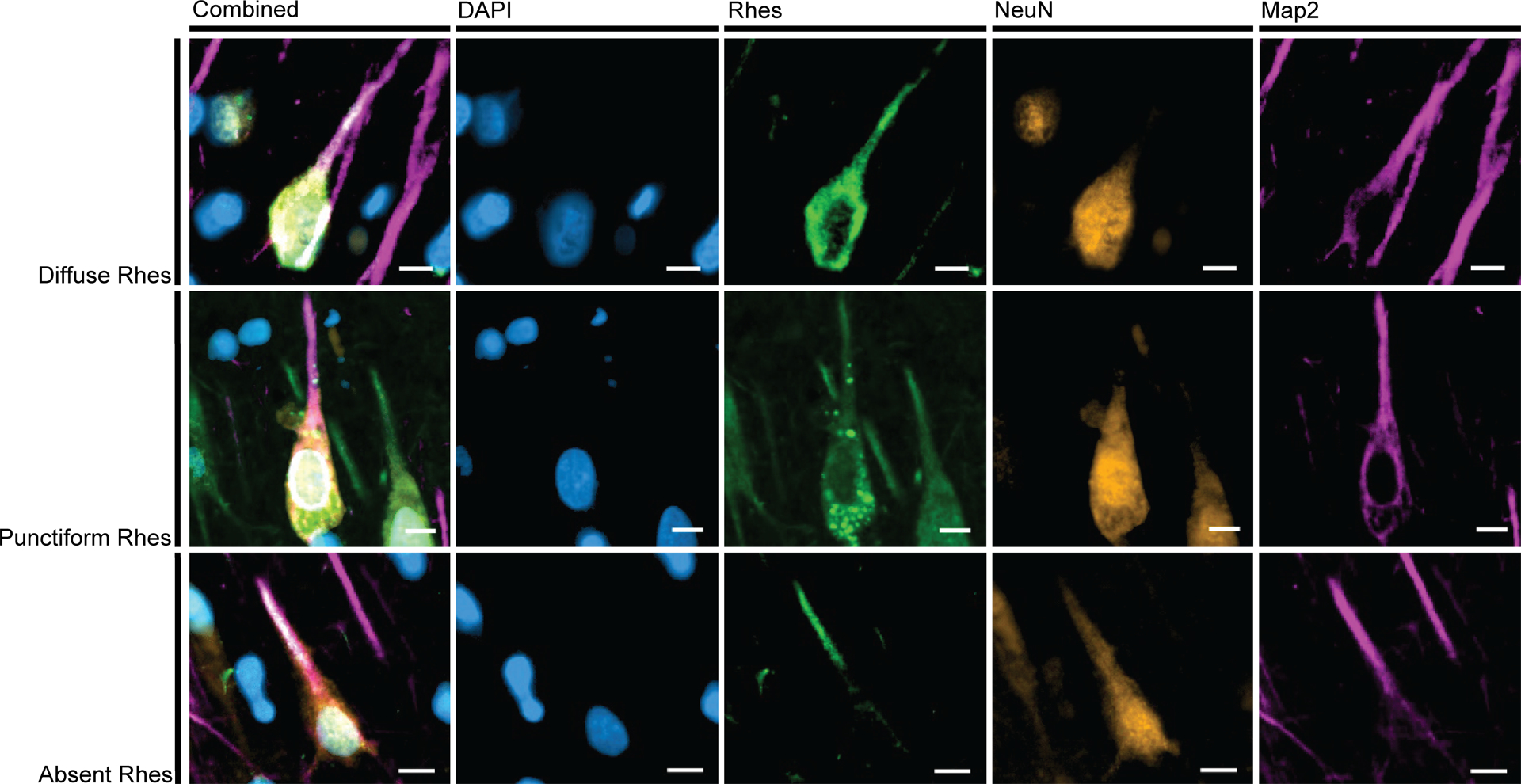 Figure 3: