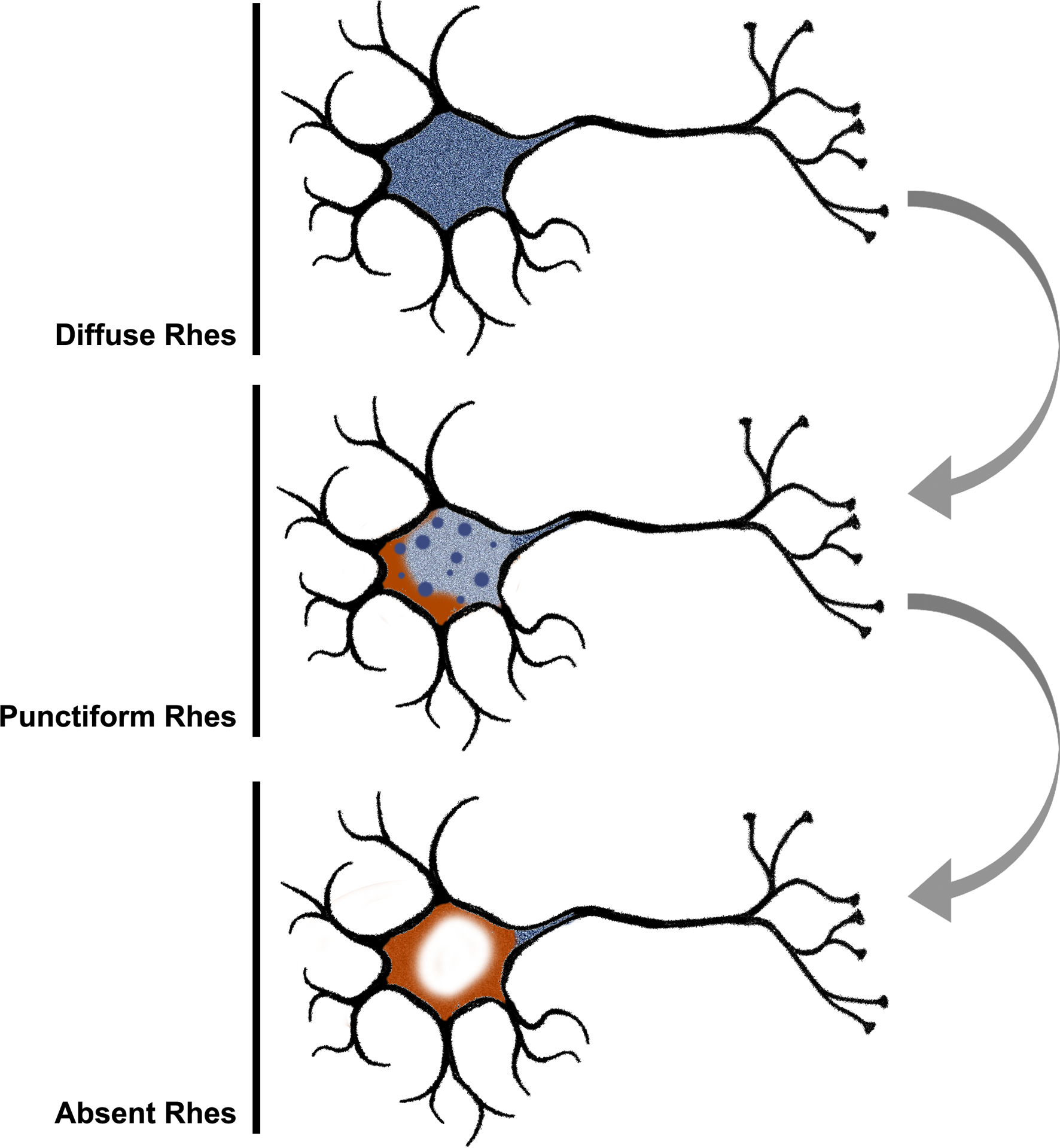 Figure 7: