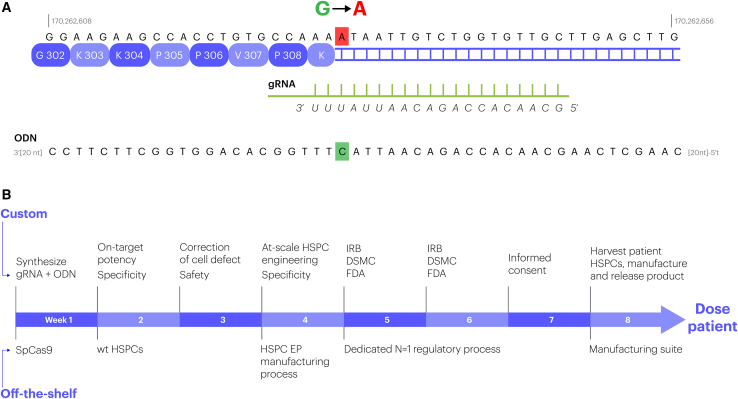 Figure 1