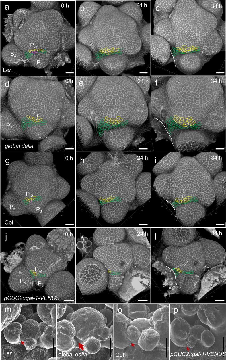 Fig. 7