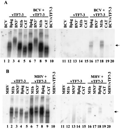 FIG. 5