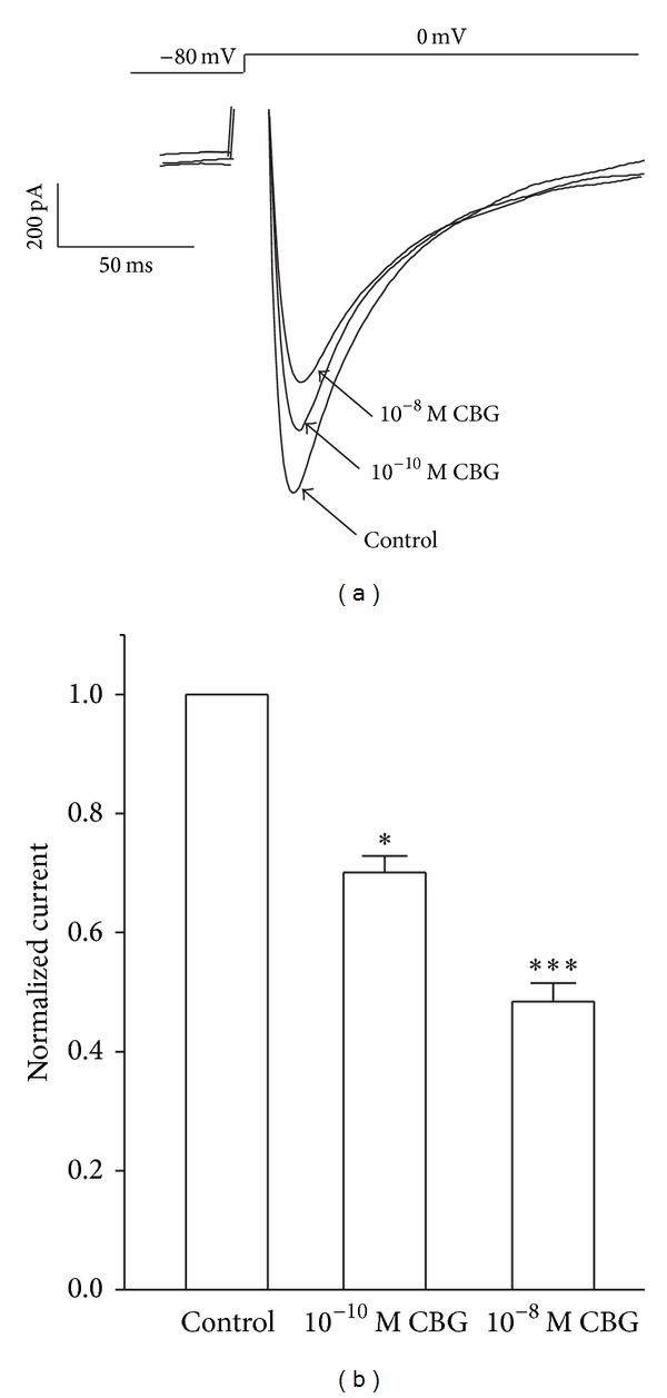 Figure 5