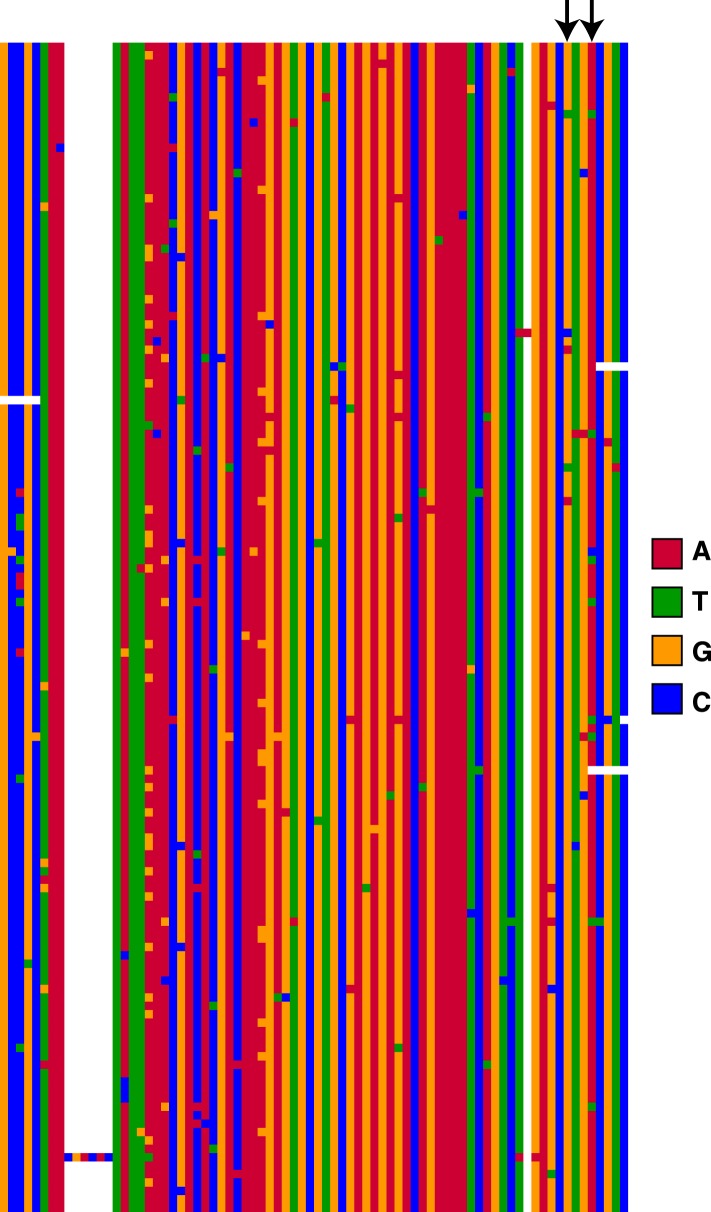 Figure 1—figure supplement 1.