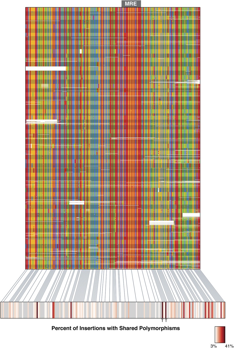 Figure 3—figure supplement 1.