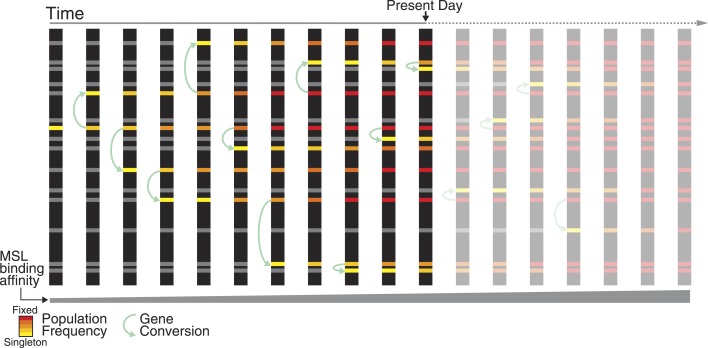 Figure 6.