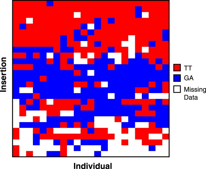 Figure 4—figure supplement 1.