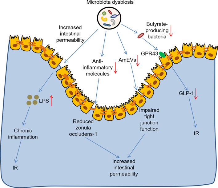 Figure 1