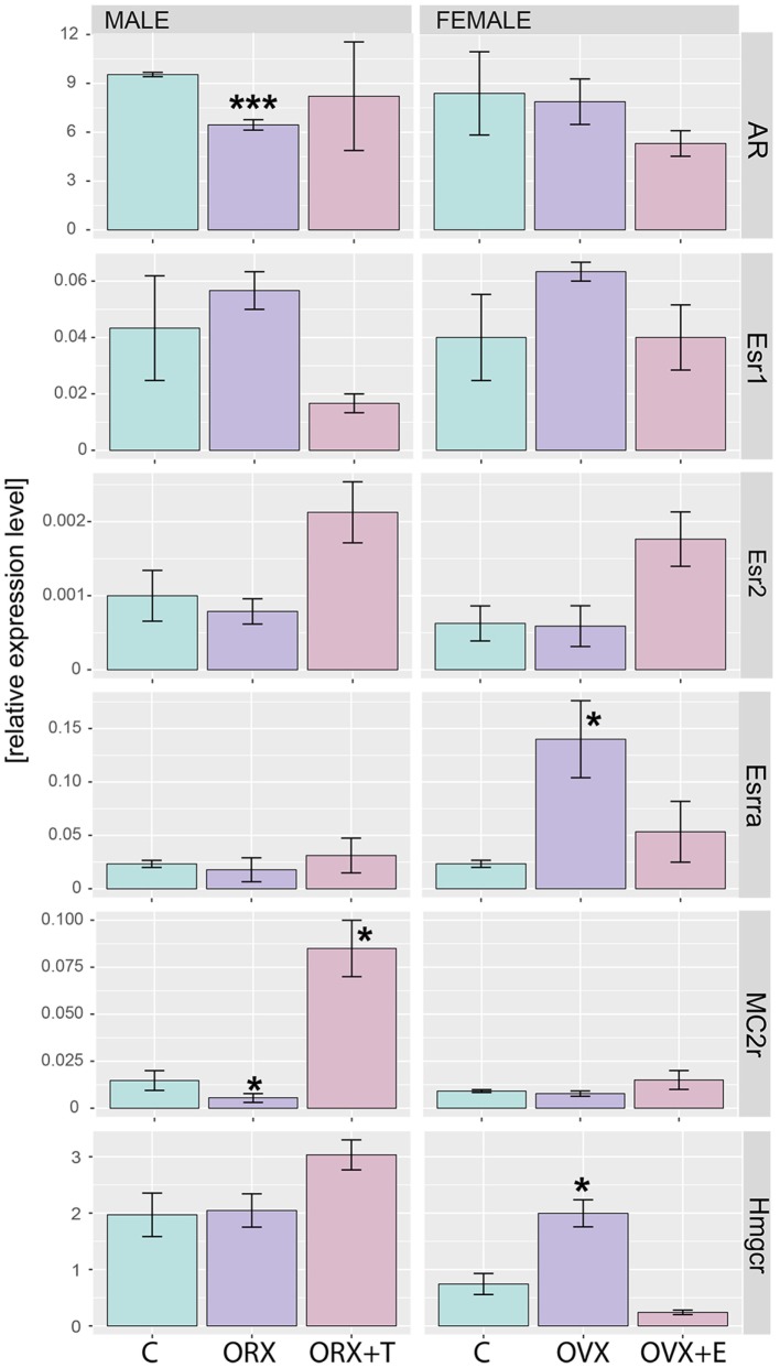 Figure 10