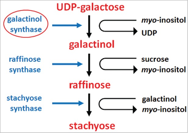 Figure 7.