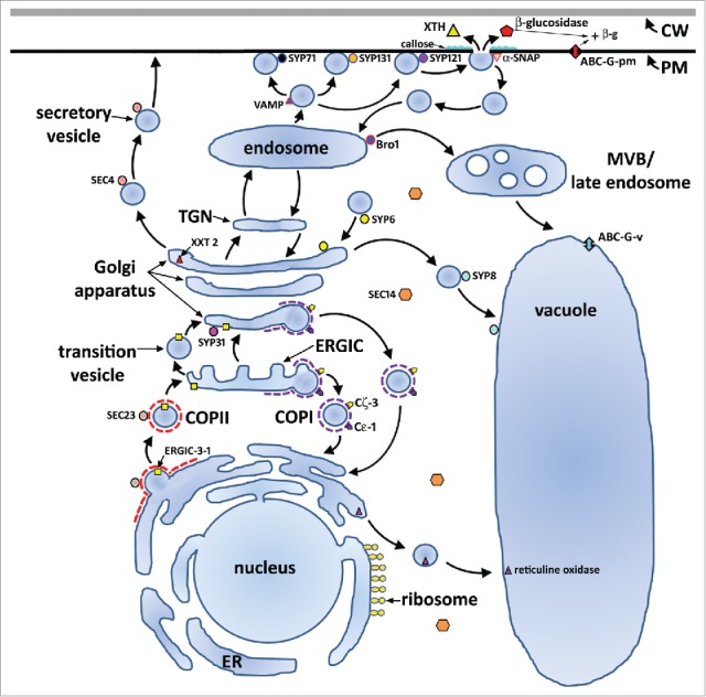 Figure 4.