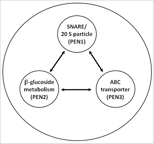 Figure 3.