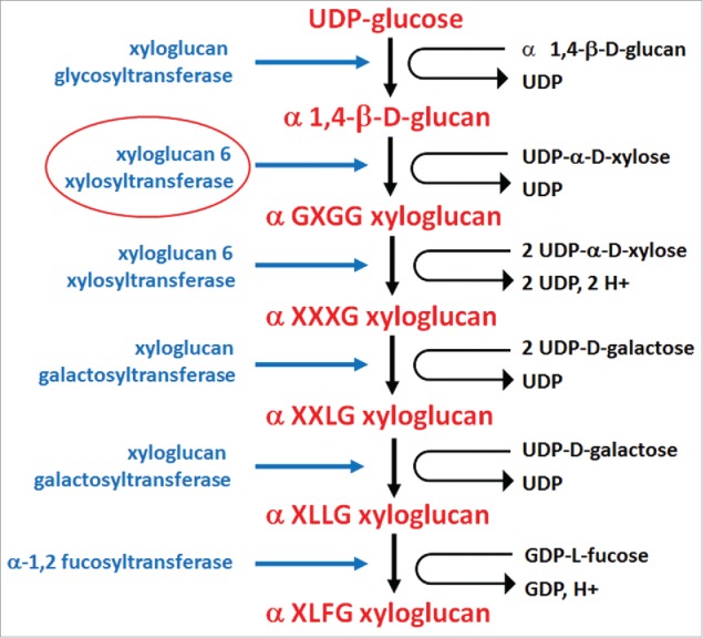 Figure 5.