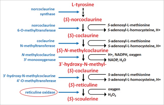 Figure 6.