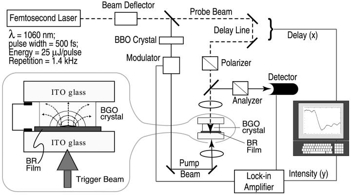 FIGURE 2