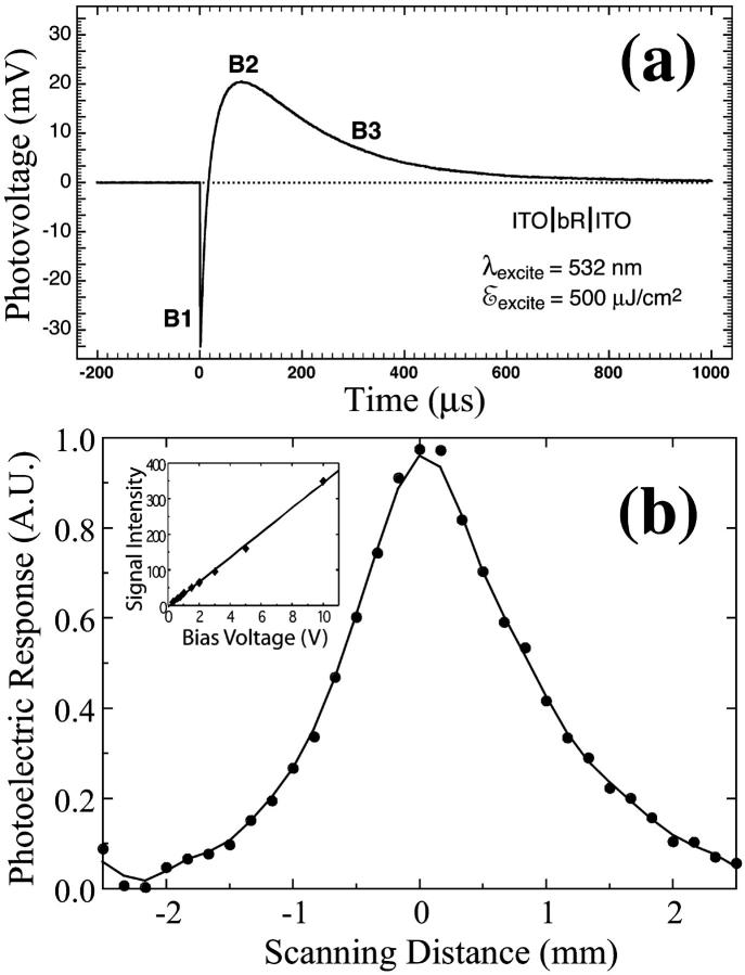 FIGURE 3