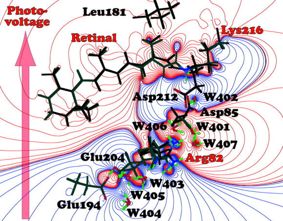 FIGURE 6