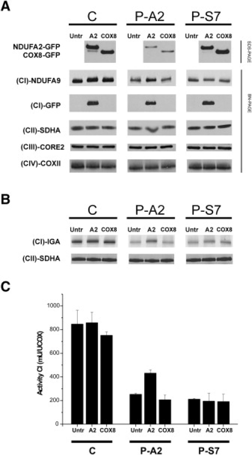 Figure 3