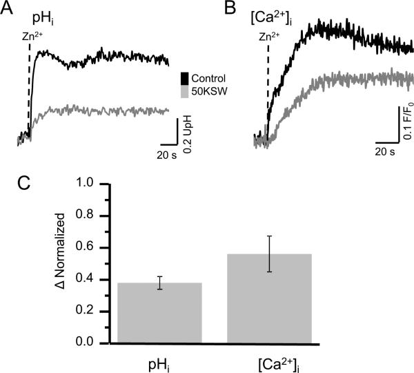 Fig. 8