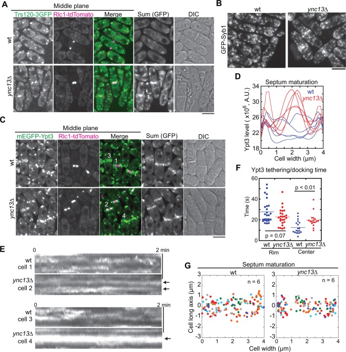 FIGURE 6: