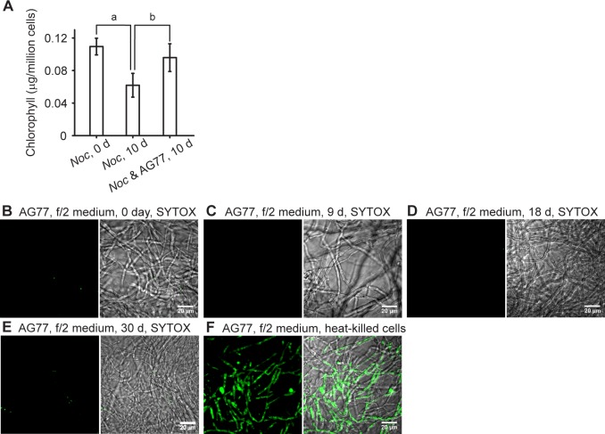 Figure 3—figure supplement 1.