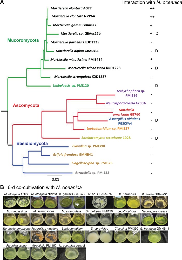 Figure 3—figure supplement 3.