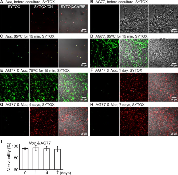 Figure 2—figure supplement 3.