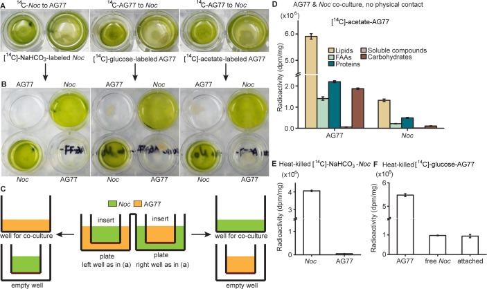 Figure 2—figure supplement 2.