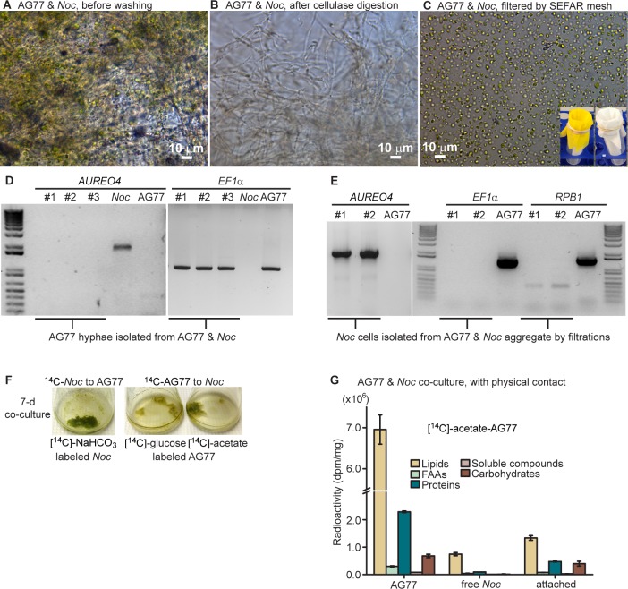 Figure 2—figure supplement 1.