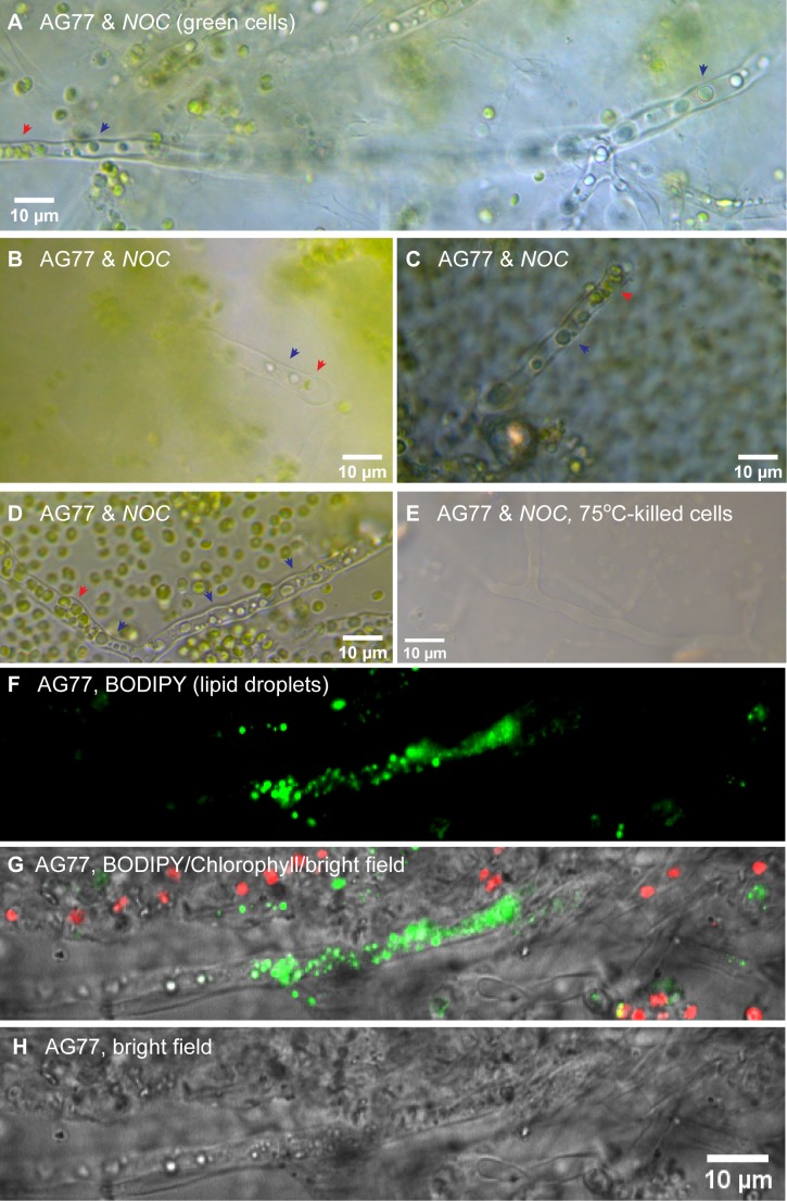 Figure 4—figure supplement 6.