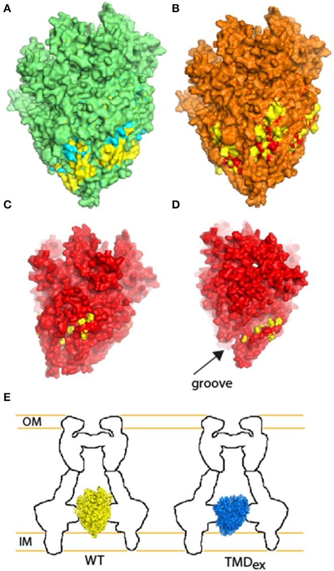 Figure 9