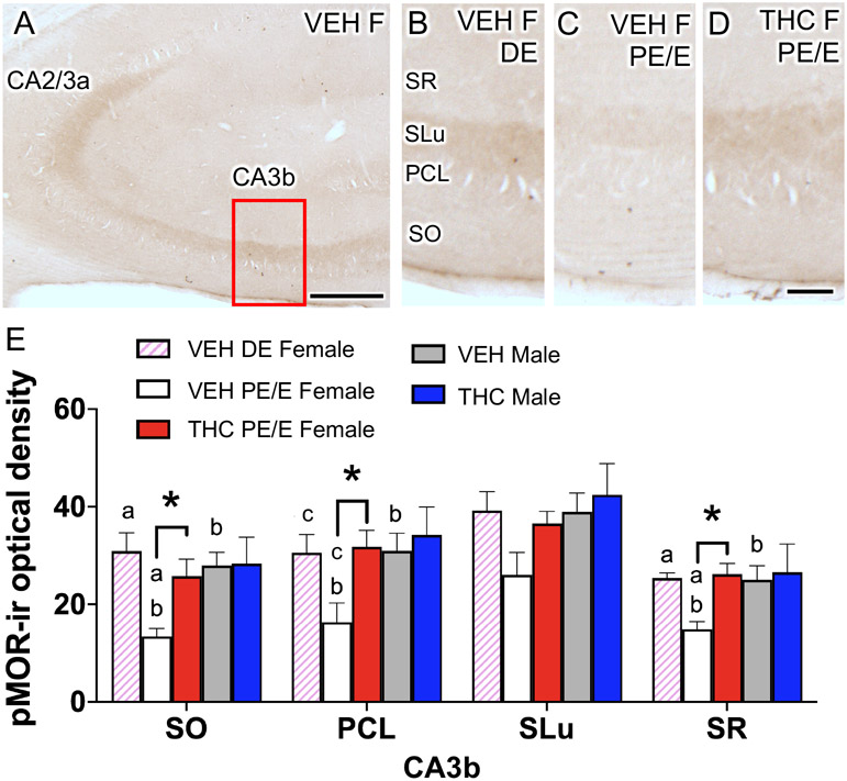 Fig 8.