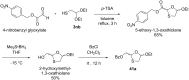 Scheme 10