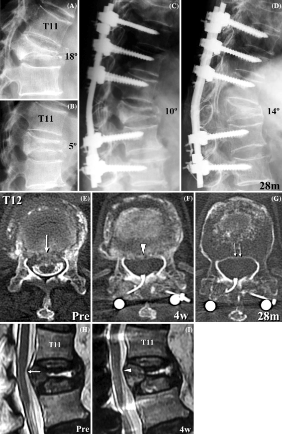 Fig. 4