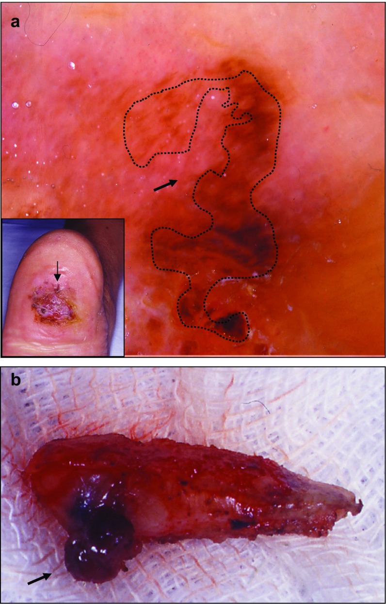 Fig. 5