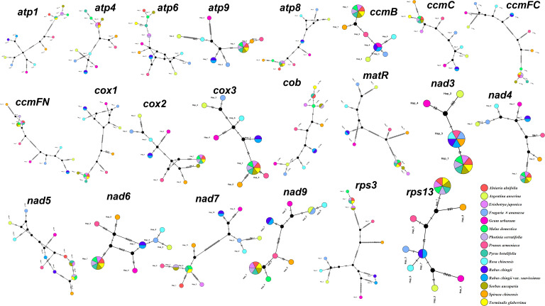 Figure 2