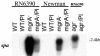 FIG. 8.
