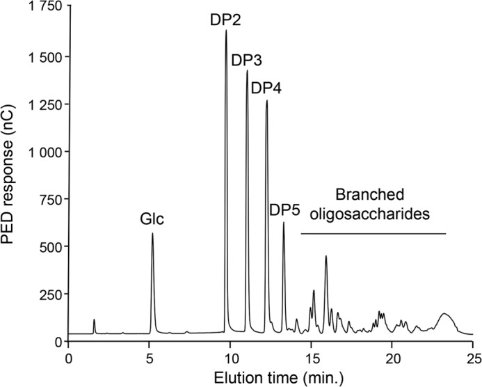 FIGURE 1.