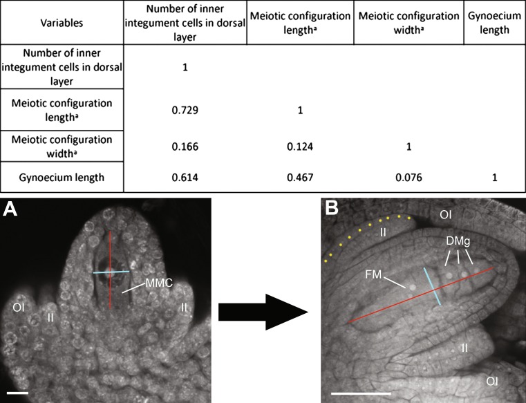 Fig. 4