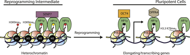 Figure 7