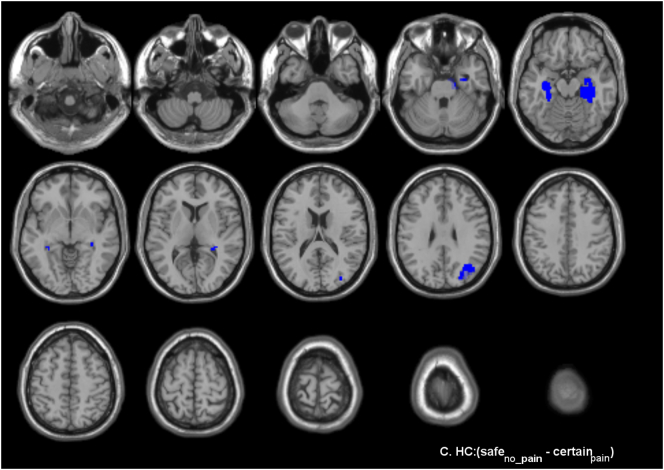 Fig. 5