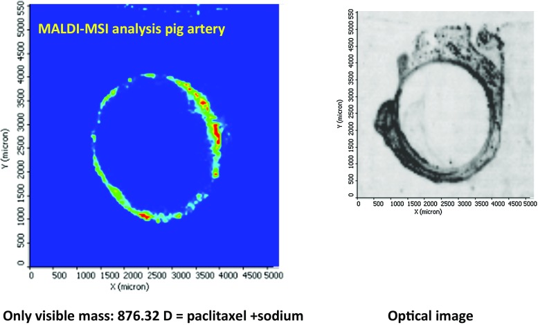 Fig. 2