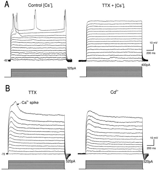 Fig. 6.